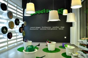 Reforma integral Sweet Seeds