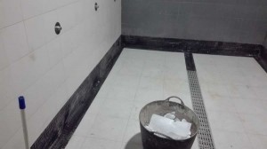 Reformas Jose Manuel Pesudo